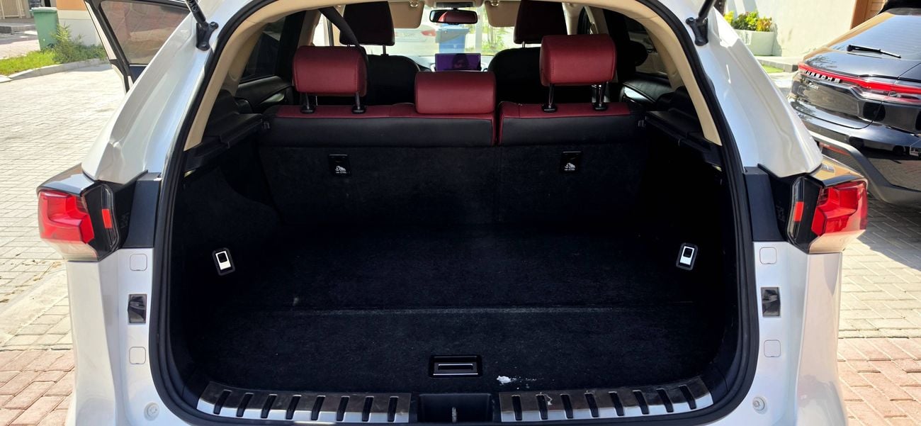 لكزس NX 300 PREMIER