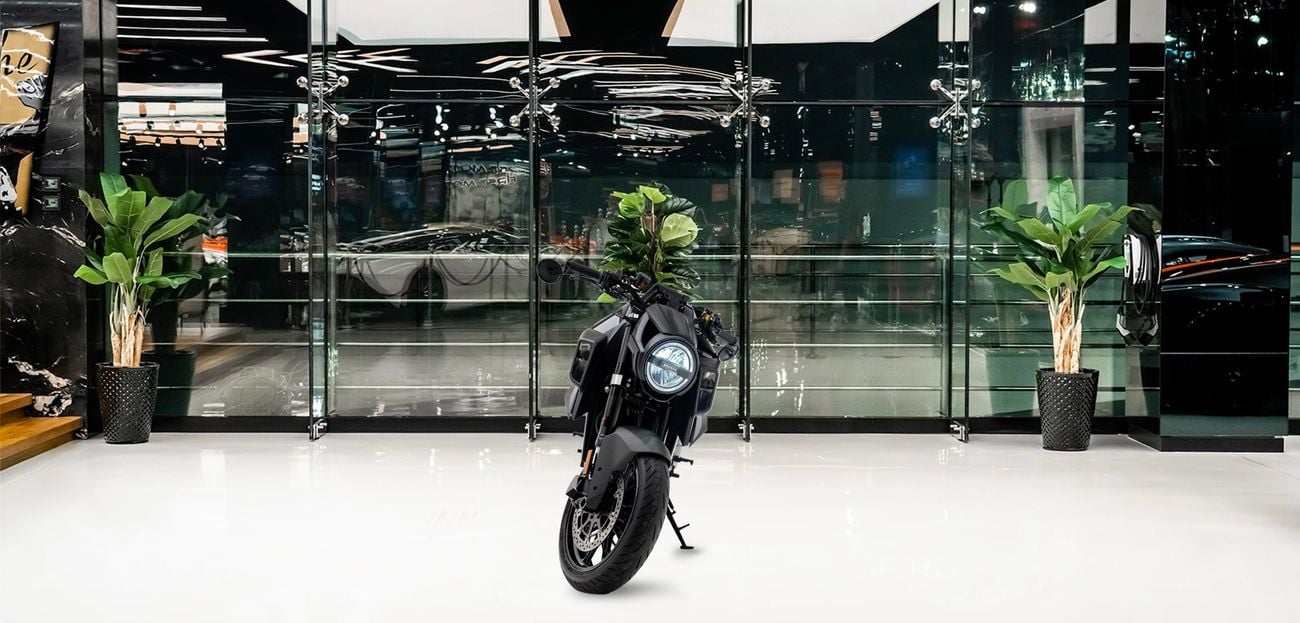 برابوس 1300 R - KTM 1300 1,301 CC 2-Cylinder 4-Stroke V-Twin Engine