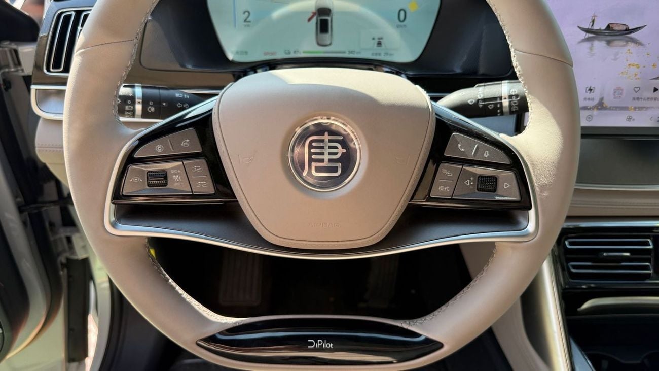 BYD Tang BYD TANG EV | 2025 | 0KM