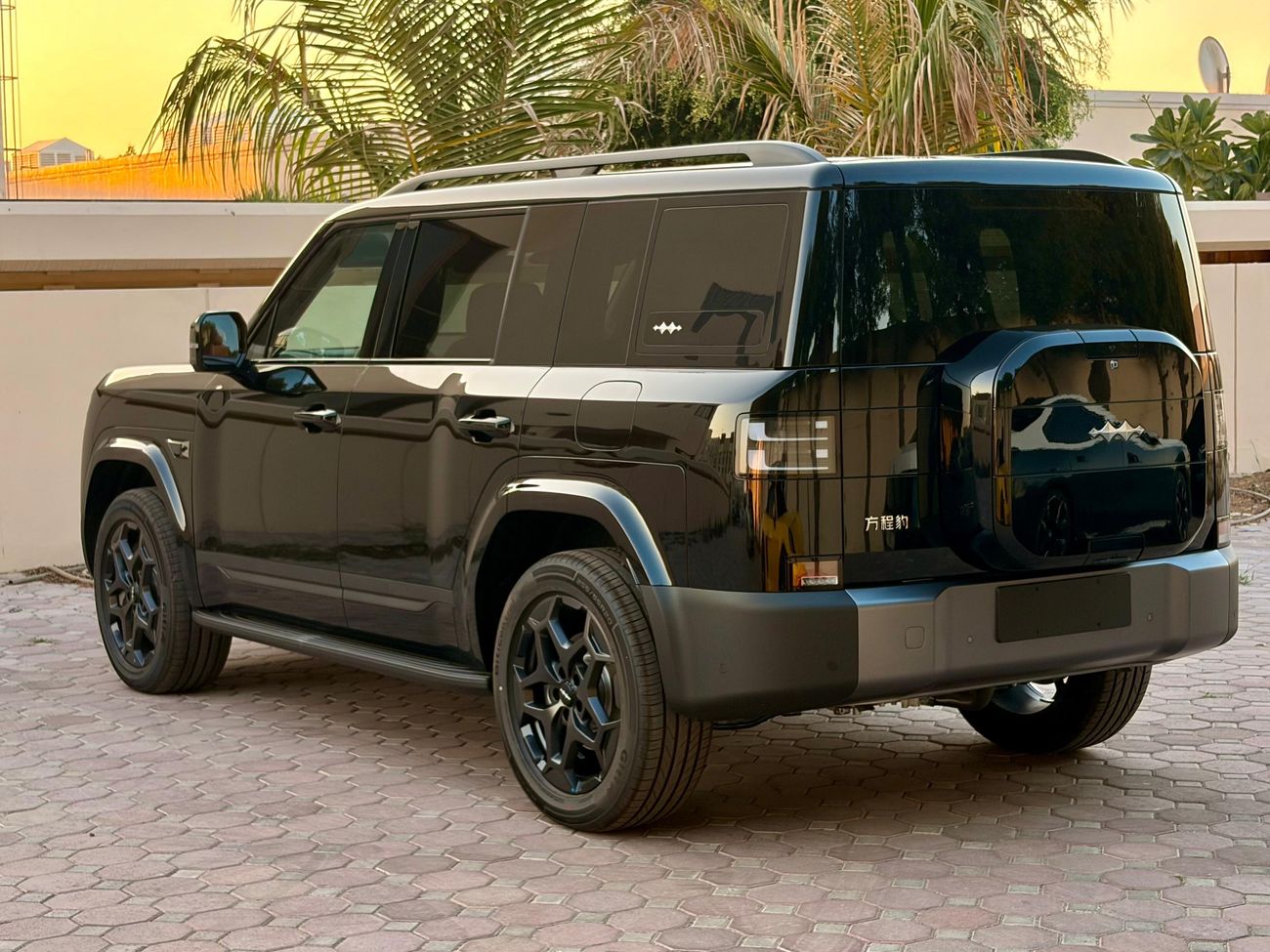 بي واي دي ليوبارد تيتانيوم 7