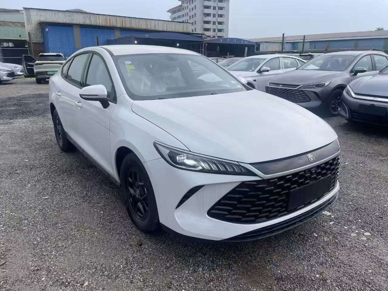 بي واي دي كين بلاس DM-i 55KM Leading Edition