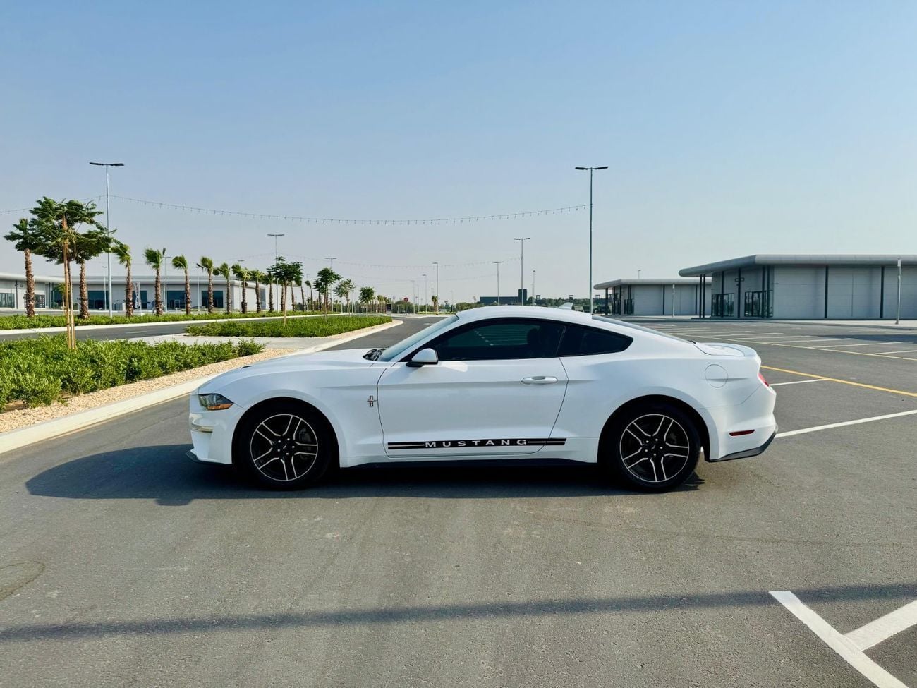 Ford Mustang STD