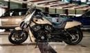 Harley-Davidson VRSCF 1300 CC