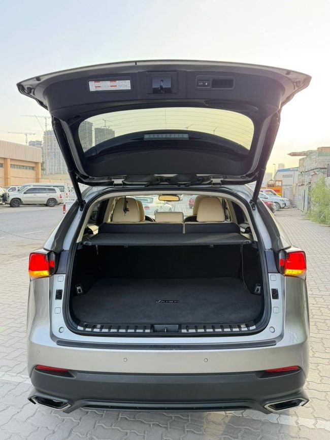 Lexus NX NX300 2021, миниатюра 29