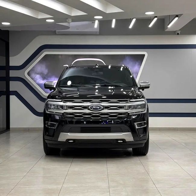 Ford Expedition PLATINUM, миниатюра 19