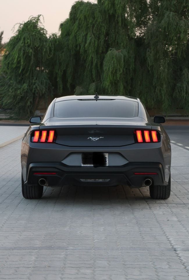 Ford Mustang STANDARD, миниатюра 20