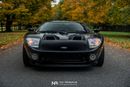 Ford GT Rare 1 of 14 Stripe Delete