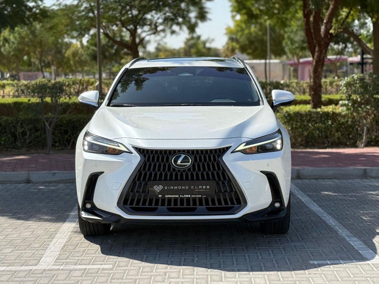 Lexus NX350h Hybrid Executive 2.5L