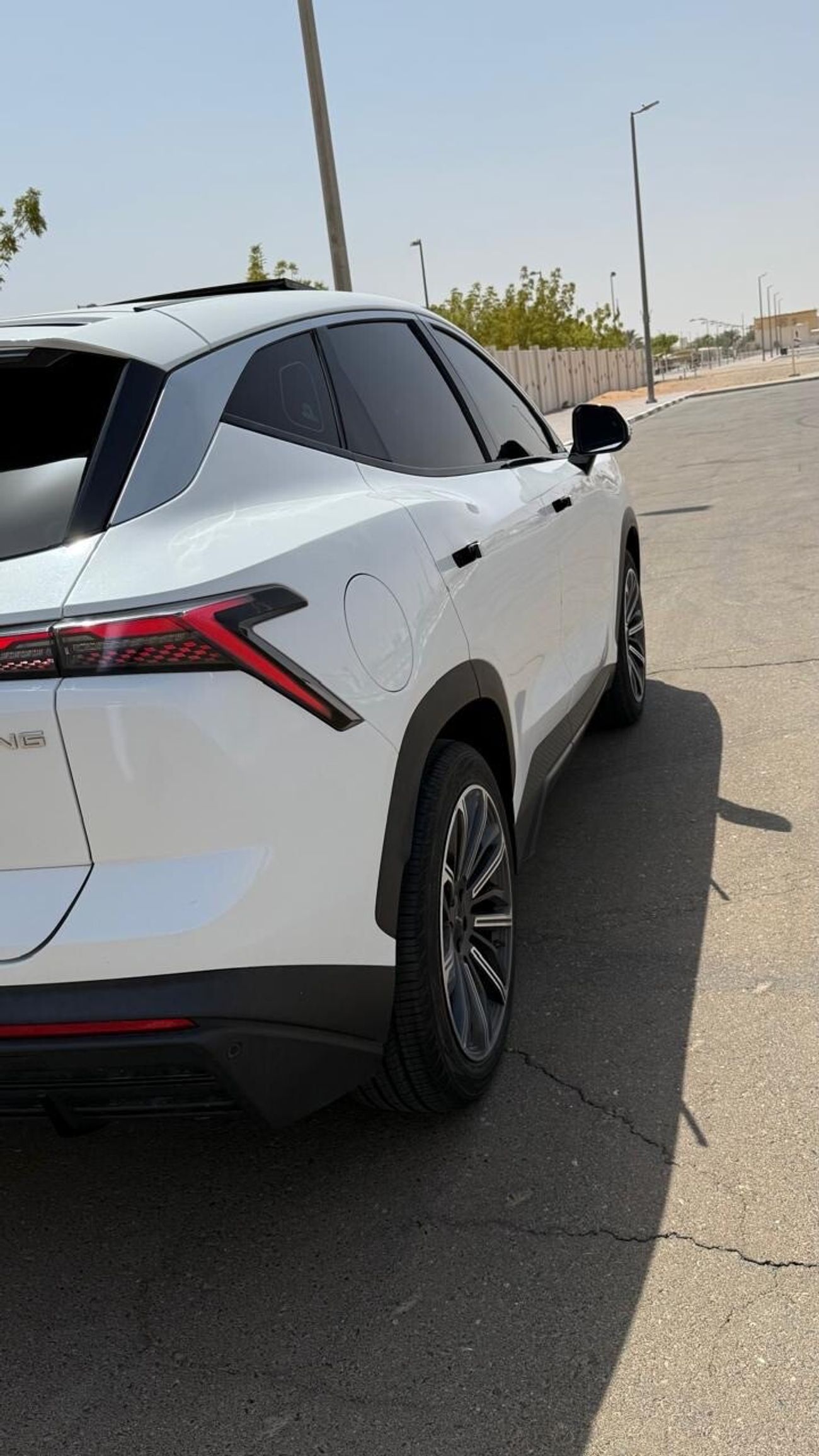 جيتور داشينج