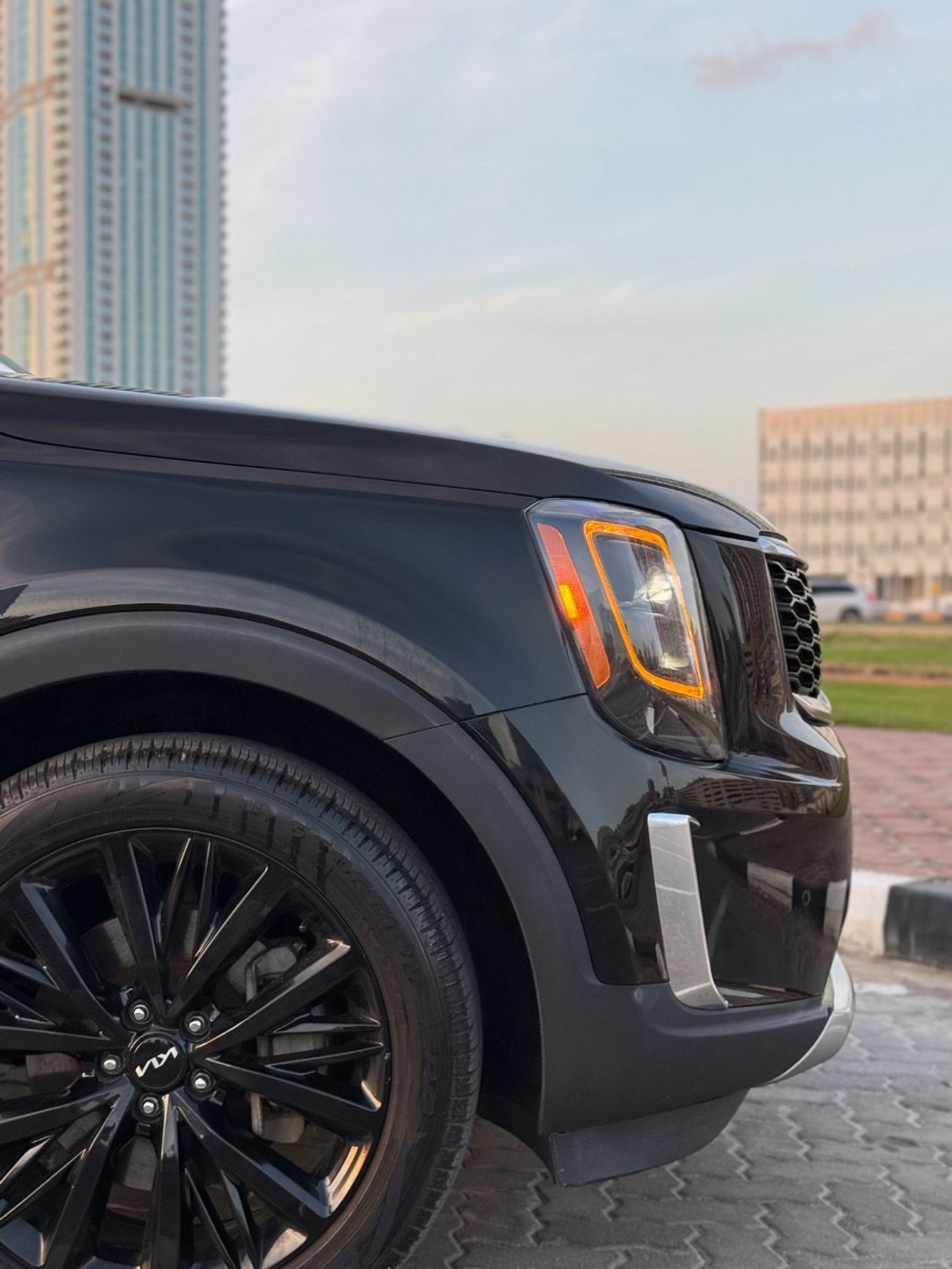 كيا تيلورايد