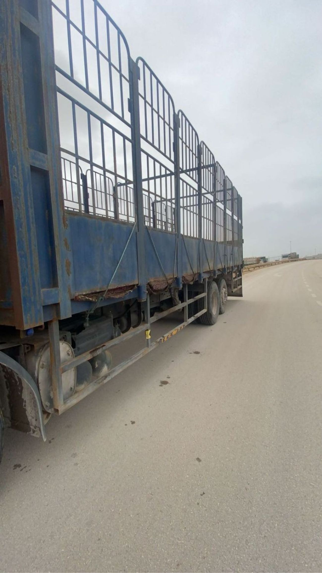 رينو كيراكس