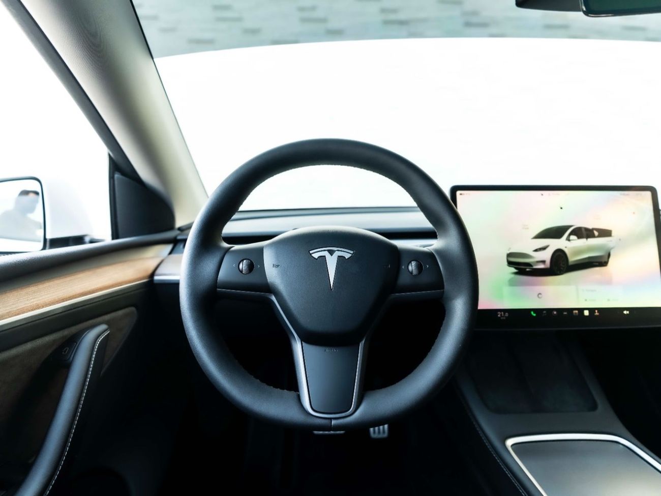 Tesla Model Y PERFORMANCE