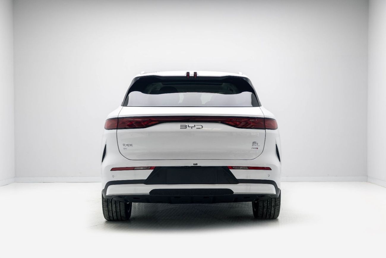 BYD Tang L Flagship- White Inside Black and Grey | Export Only