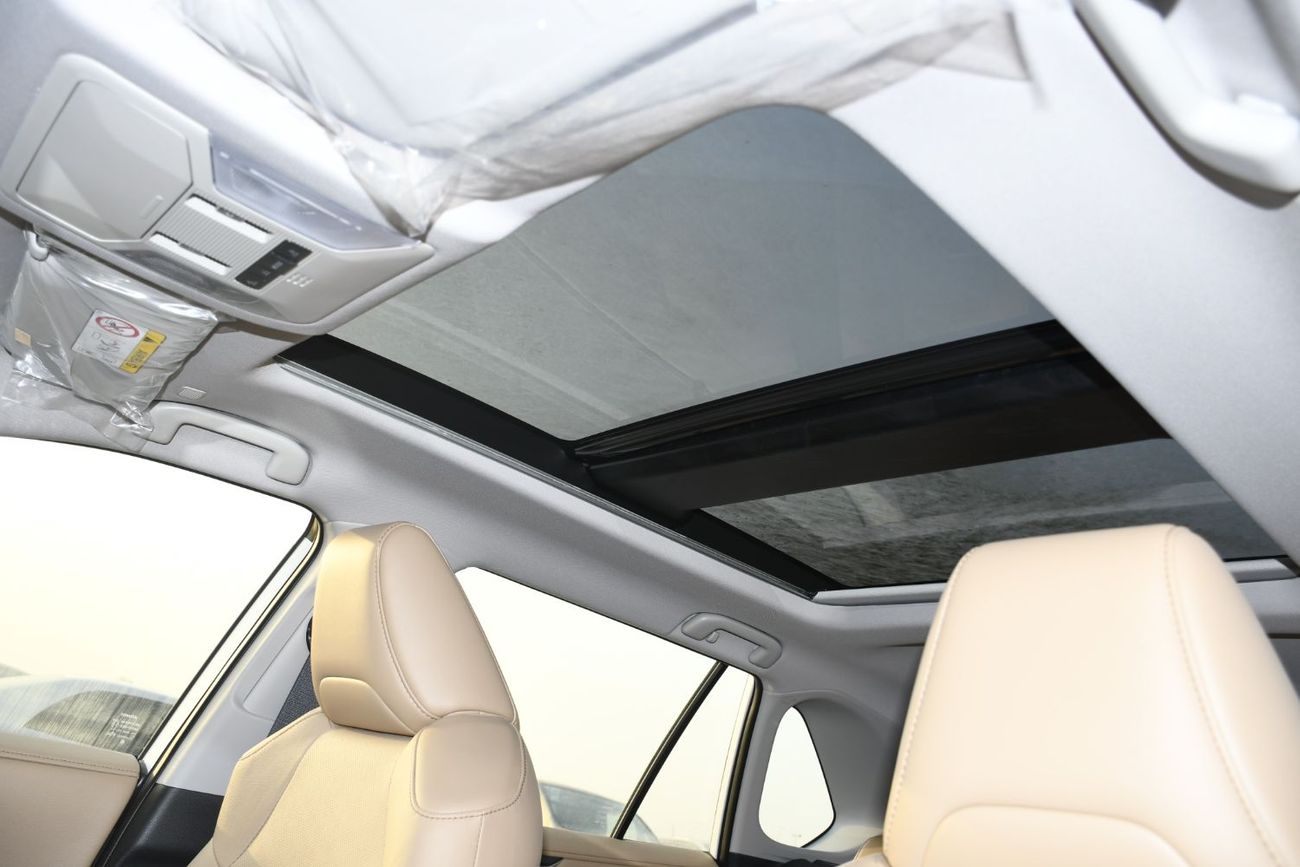 Toyota RAV4 Limited 2.5L hybrid with BSM & Door Molding