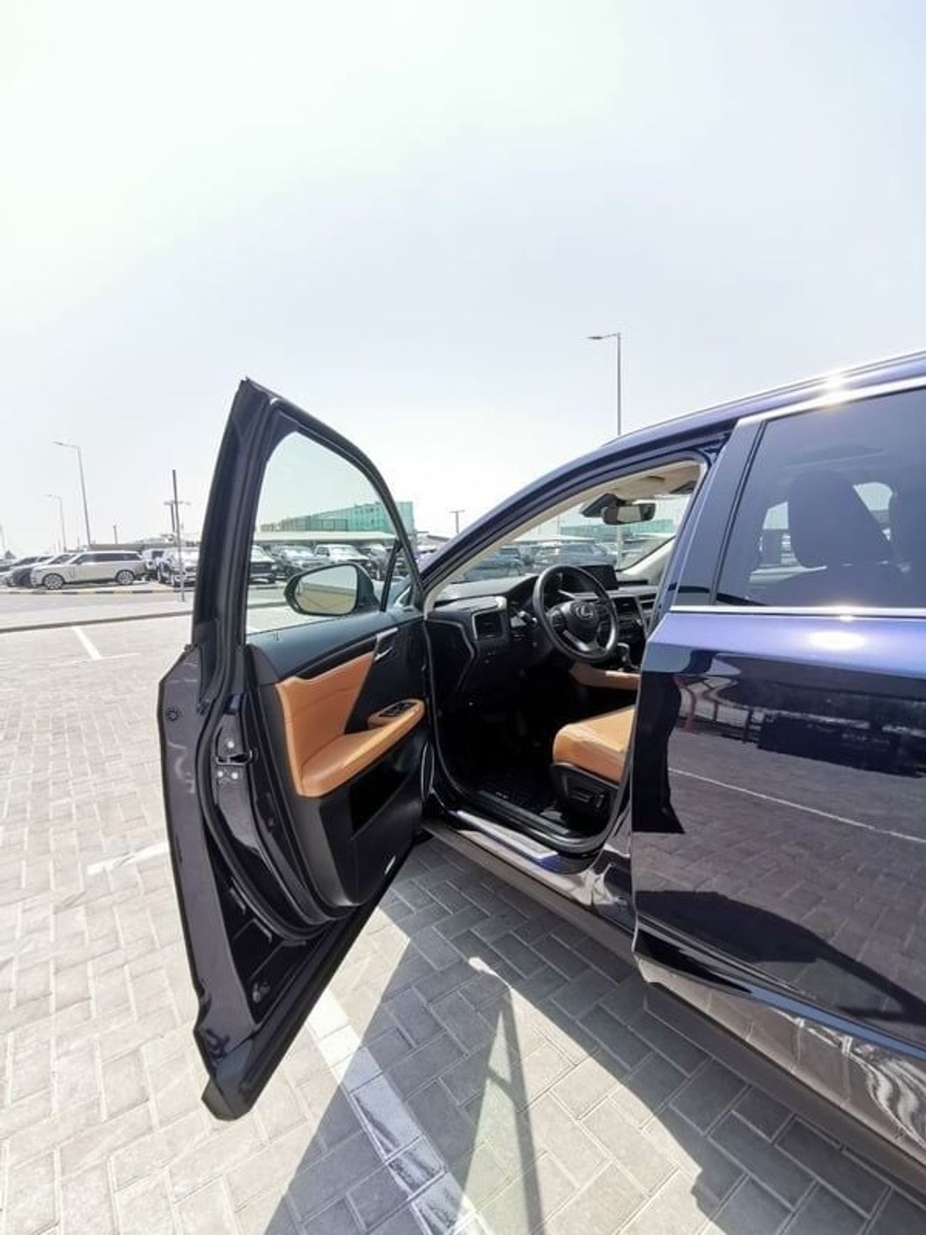 Lexus RX350 Lexus RX350- 2022- Blue