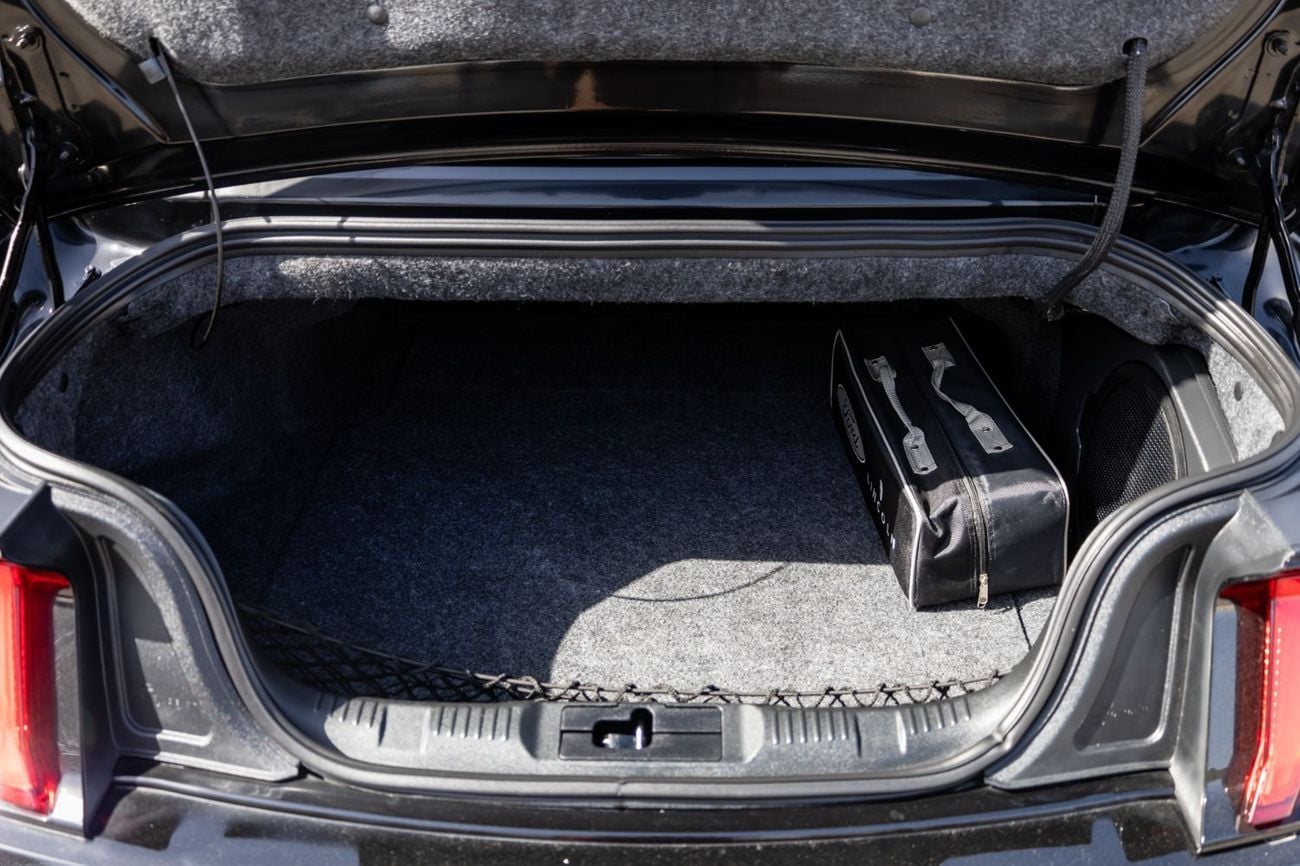 Ford Mustang GT Premium 5.0L V8