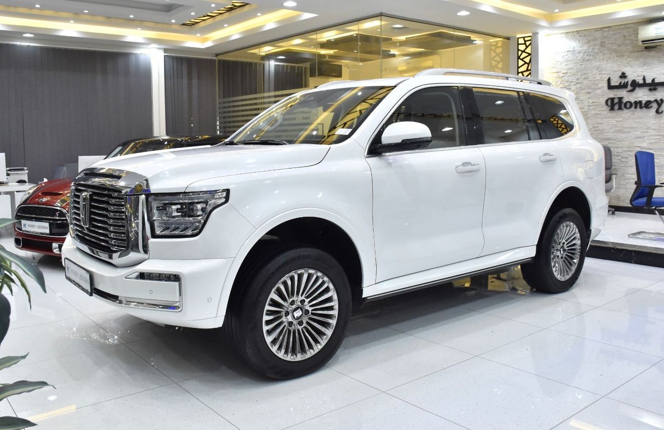 Tank 300 EXCELLENT DEAL for our GWM TANK 500 ( 2024 Model ) in White Color GCC Specs