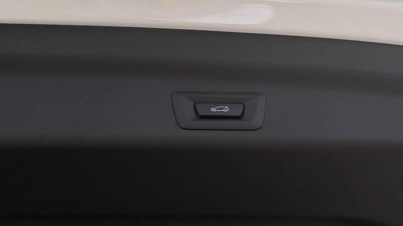 بي أم دبليو iX1