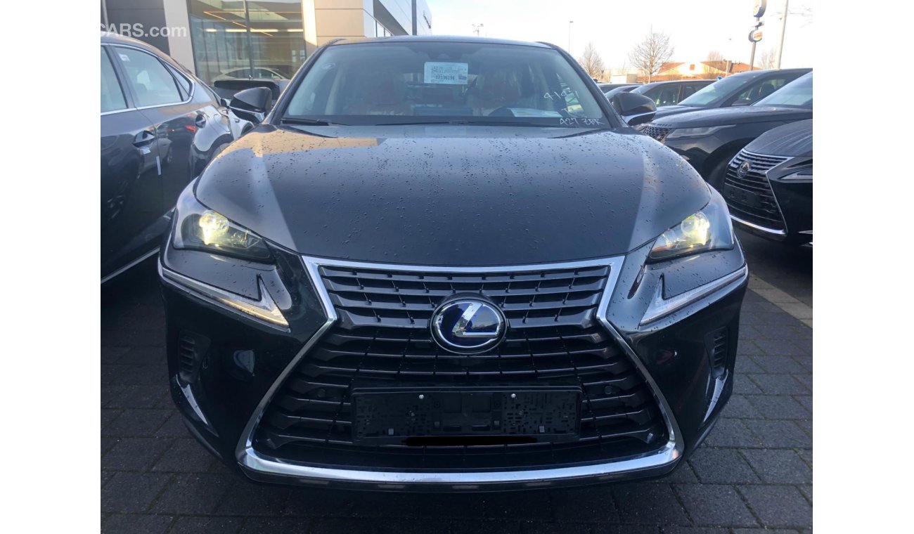 Lexus NX300 NX300H/2020/EXPORT/E-FOUR/2.5L