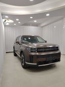 Hyundai Santa Fe Hyundai santafe calligraphy 2024 China specs