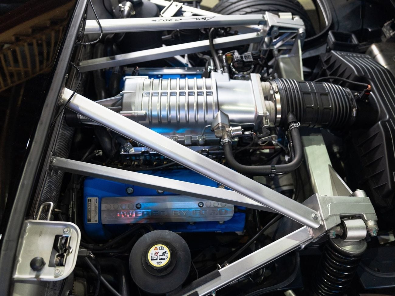 Ford GT Rare 1 of 14 Stripe Delete