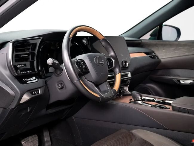 Lexus RX F-SPORT, миниатюра 24