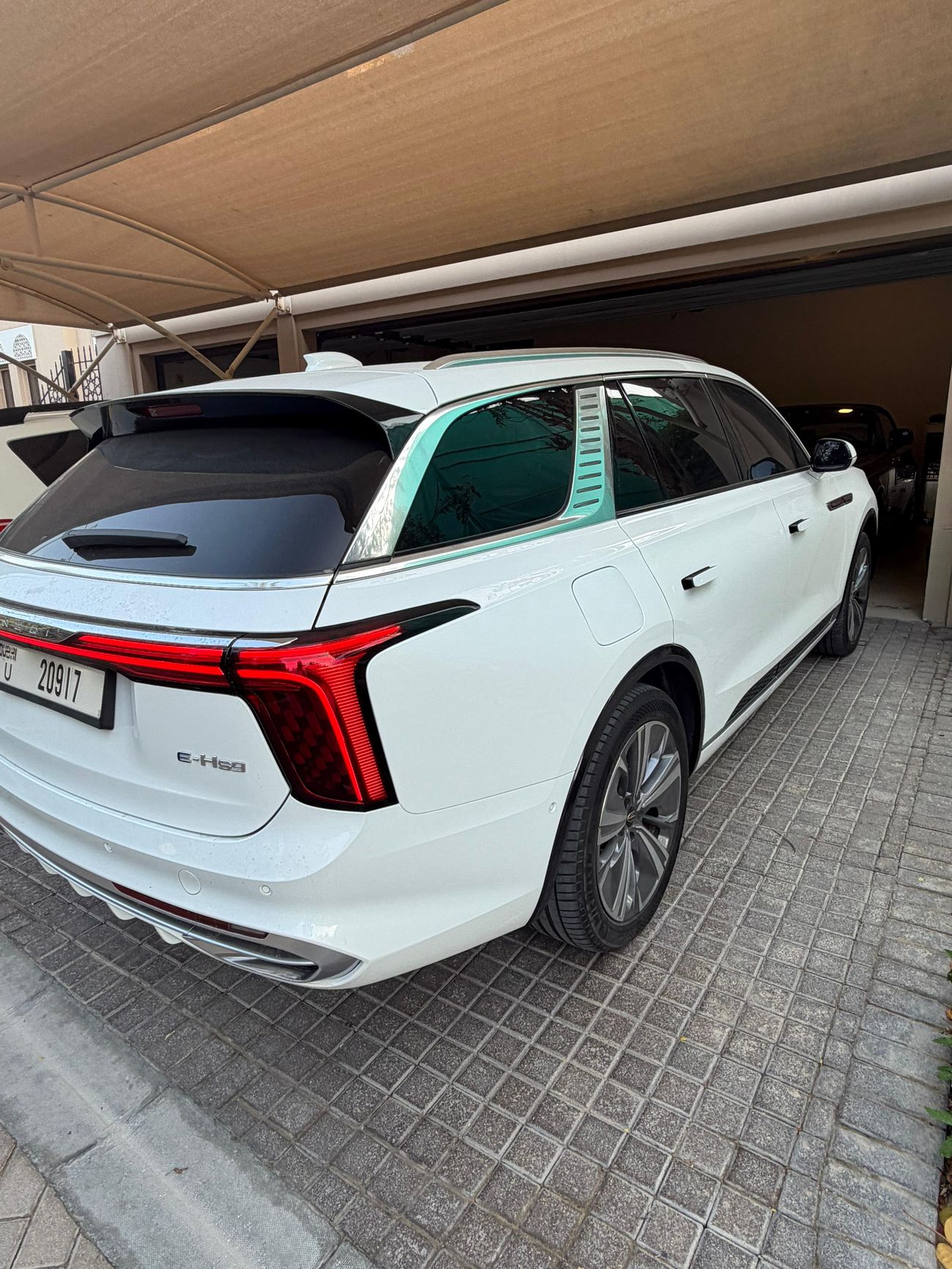 هونغشي EHS9 Executive