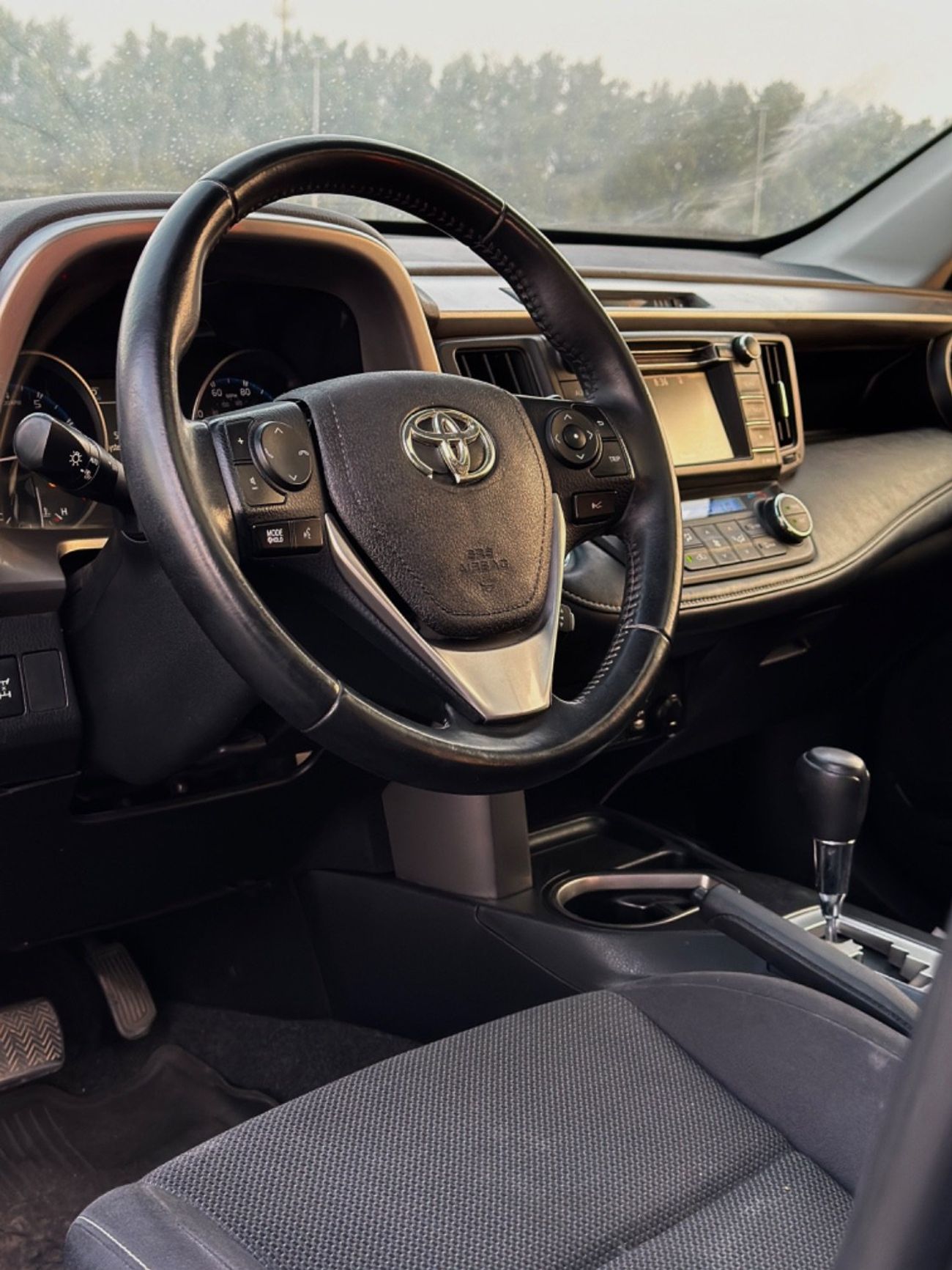 Toyota RAV4 XLE || SUNROOF || SPECIAL COLOR