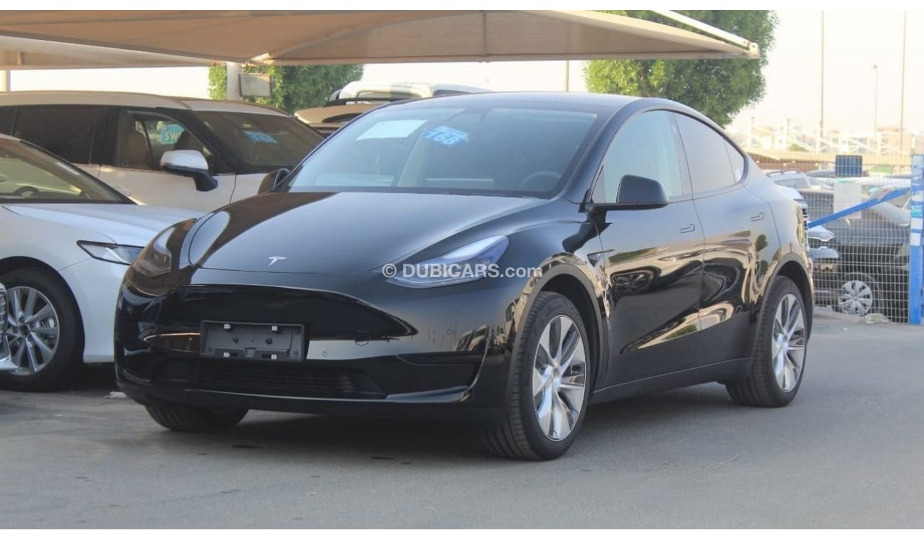 Tesla Model Y Standard Range RWD 2022Model for export