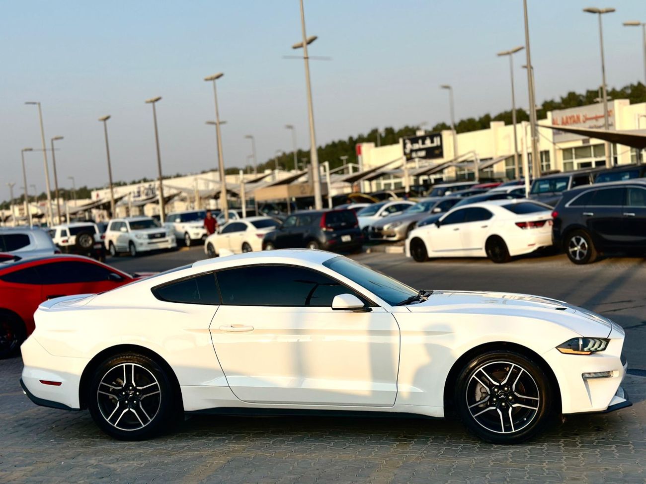Ford Mustang Ecoboost | Monthly 1200/- | 0% DP | Lane Assist | Leather Seats | Blindspot | # 00283