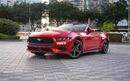 فورد موستانج Ford Mustang 2024 مواصفات أمريكية