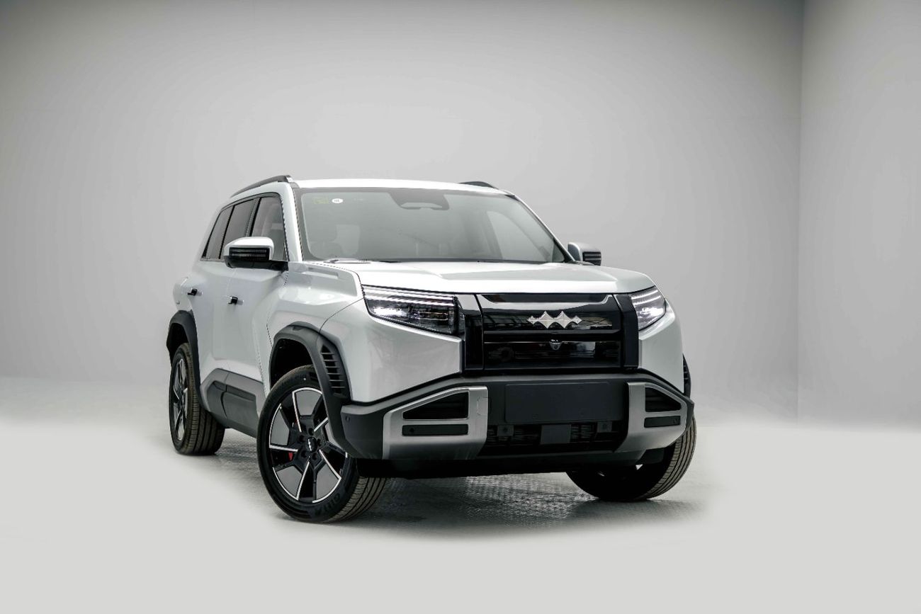 BYD Leopard Titanium 3 ID Ultra - Silver Inside Black | Export Only