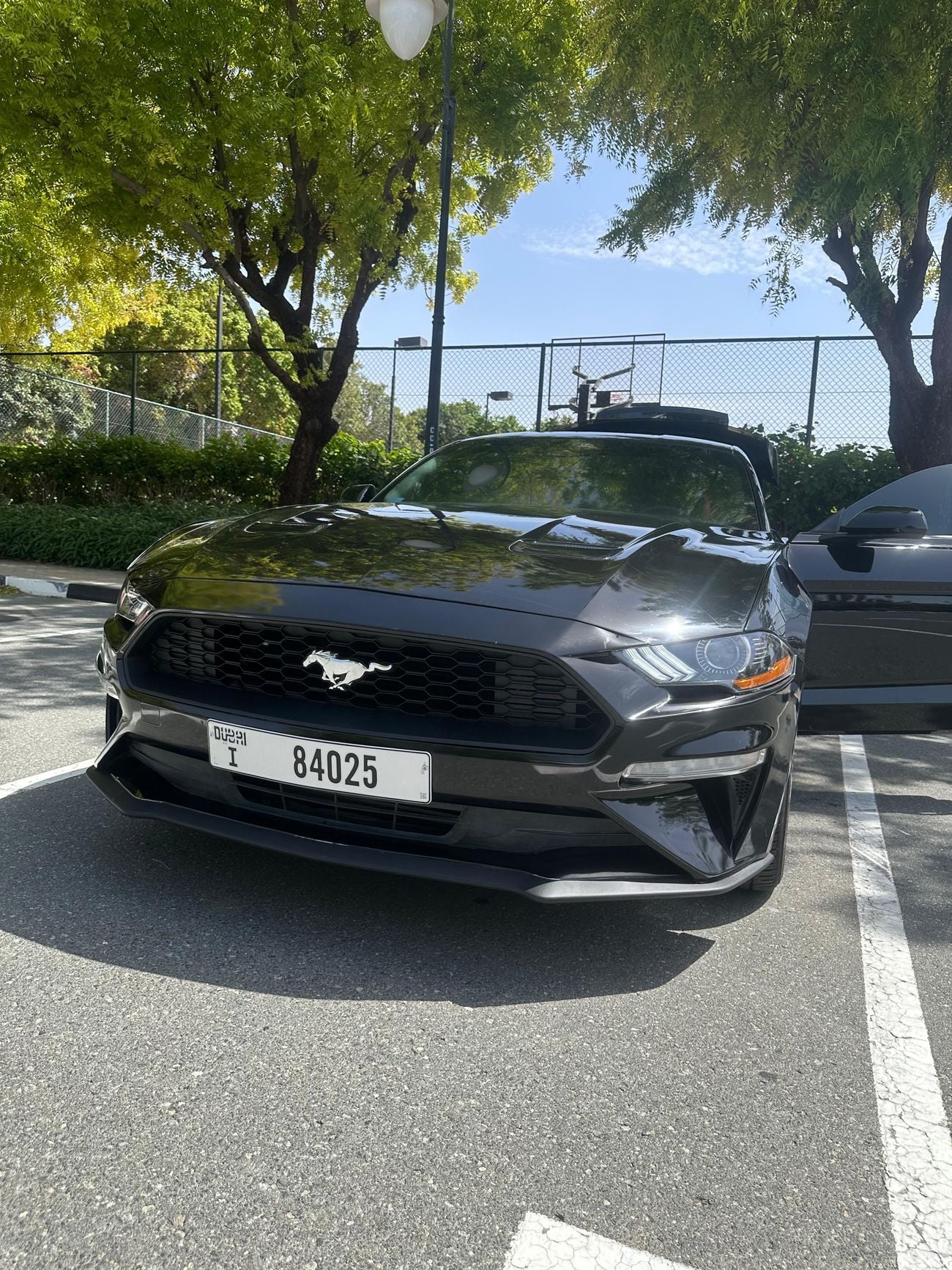 Ford Mustang Ecoboost