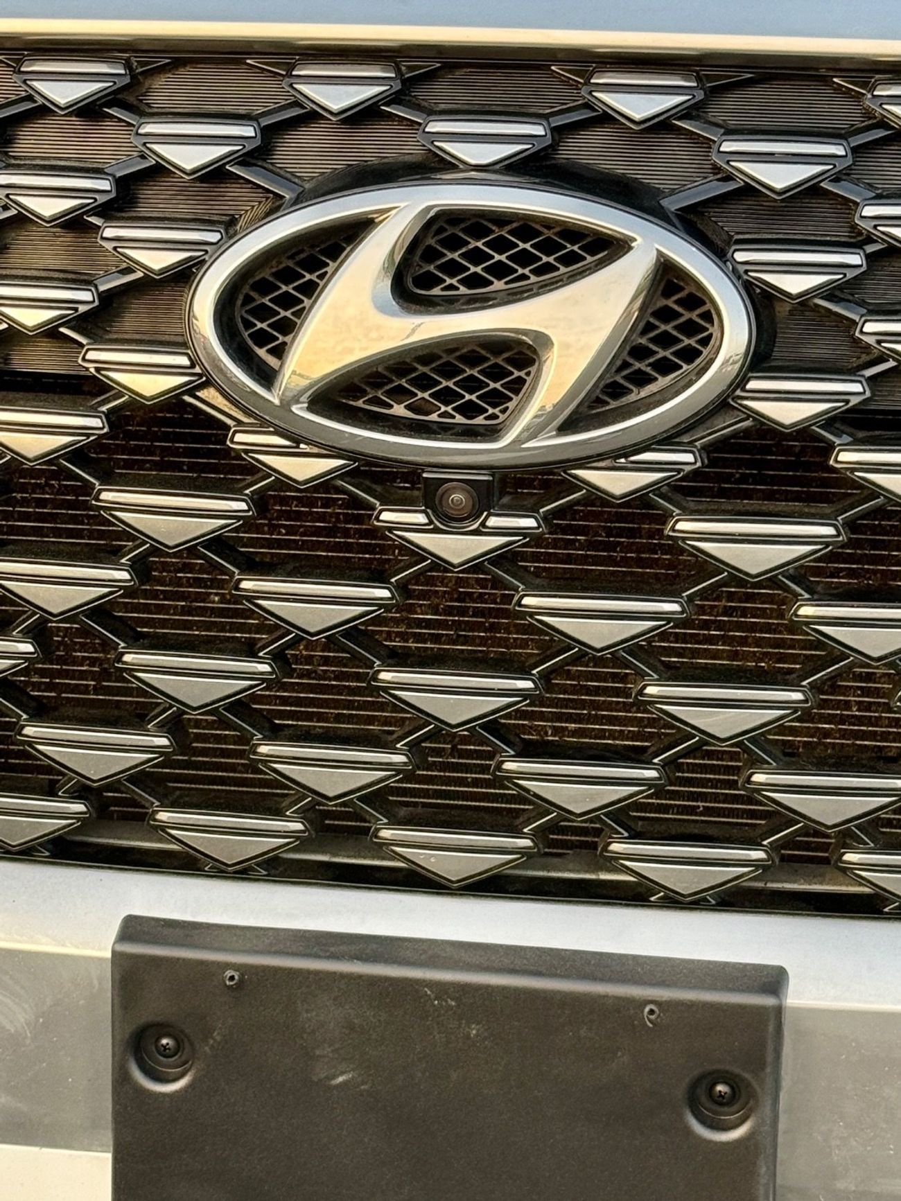 Hyundai Palisade Palisade Calligraphy