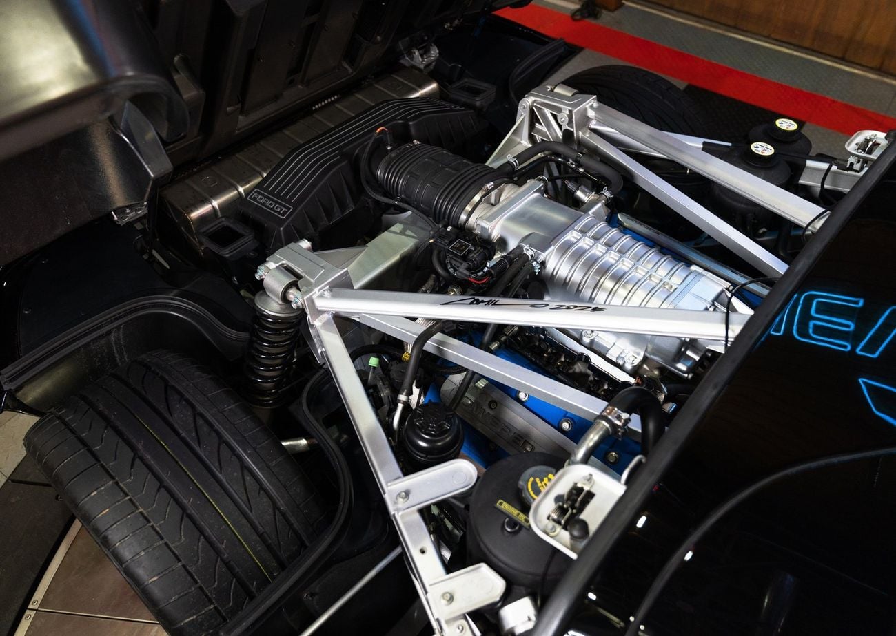 Ford GT Rare 1 of 14 Stripe Delete