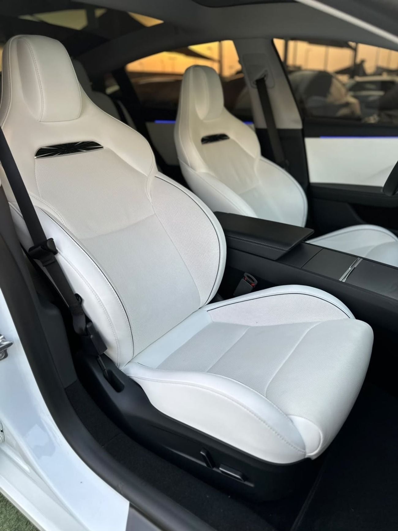 Tesla Model 3 PERFORMANCE