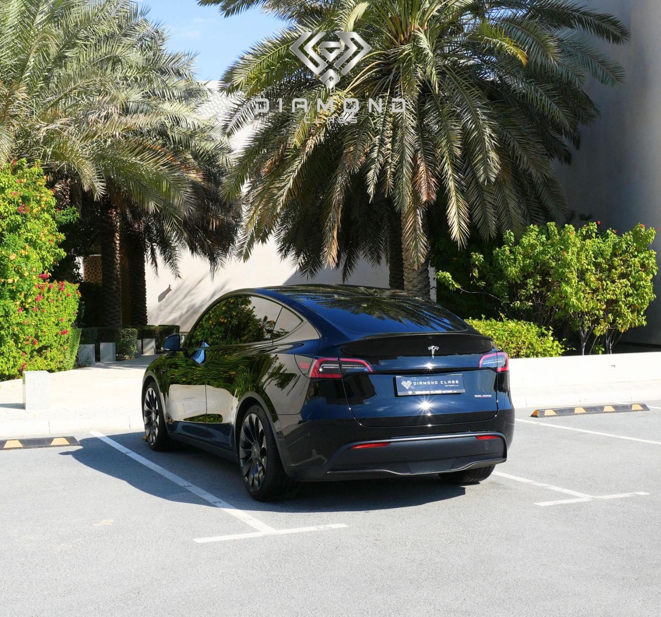 تسلا موديل Y Long Range (AWD)