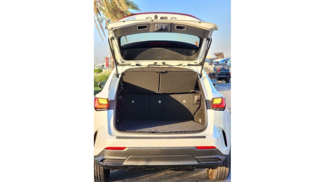 Lexus NX 250 LEXUS NX250 FULL OPTIONS CLEAN CAR