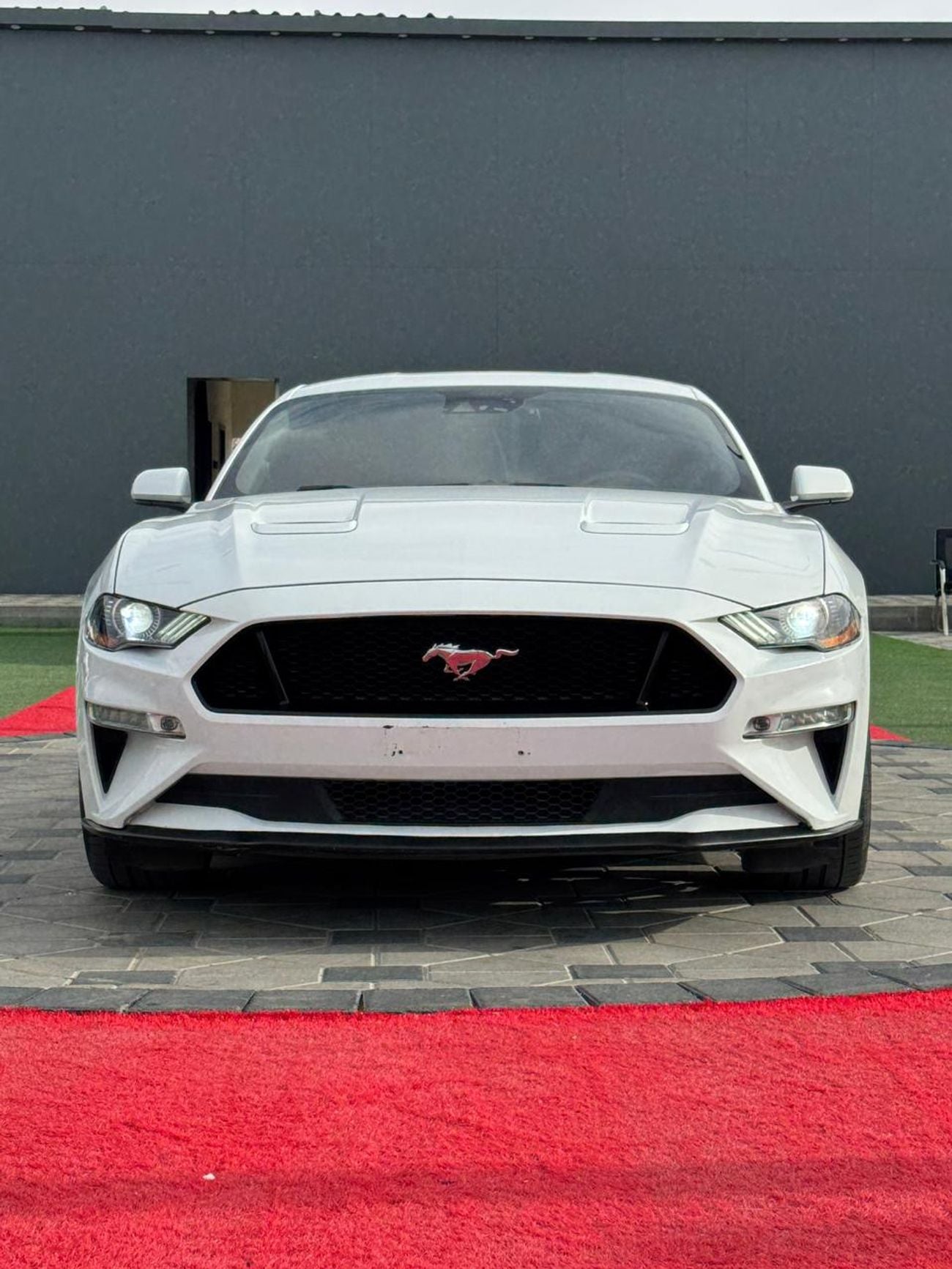 Ford Mustang GT Premium 5.0L V8