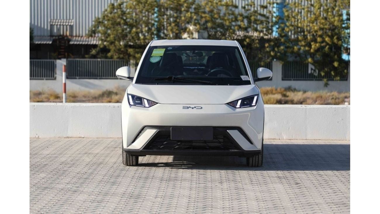 BYD Seagull 2024 BYD Seagull - White inside Blue | Export Only