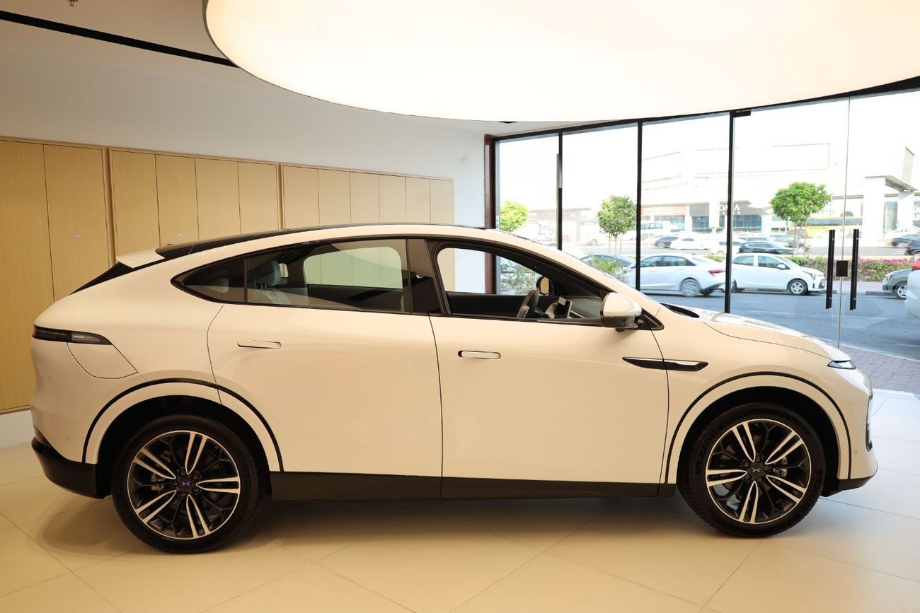 اكس بنغ G6 RWD Standard Range