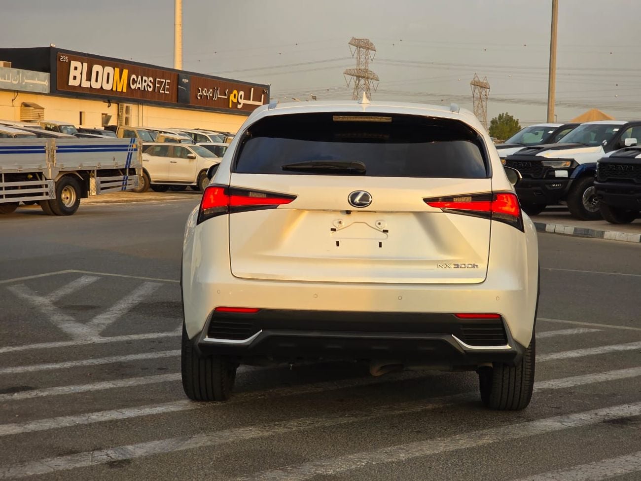 Lexus NX300 PLATINUM