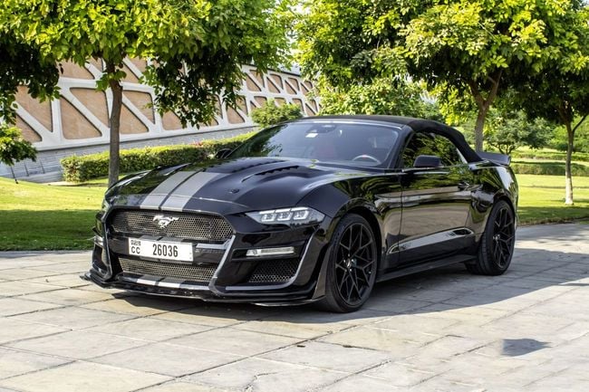Ford Mustang EcoBoost Premium 2.3L Convertible M/T, миниатюра 21