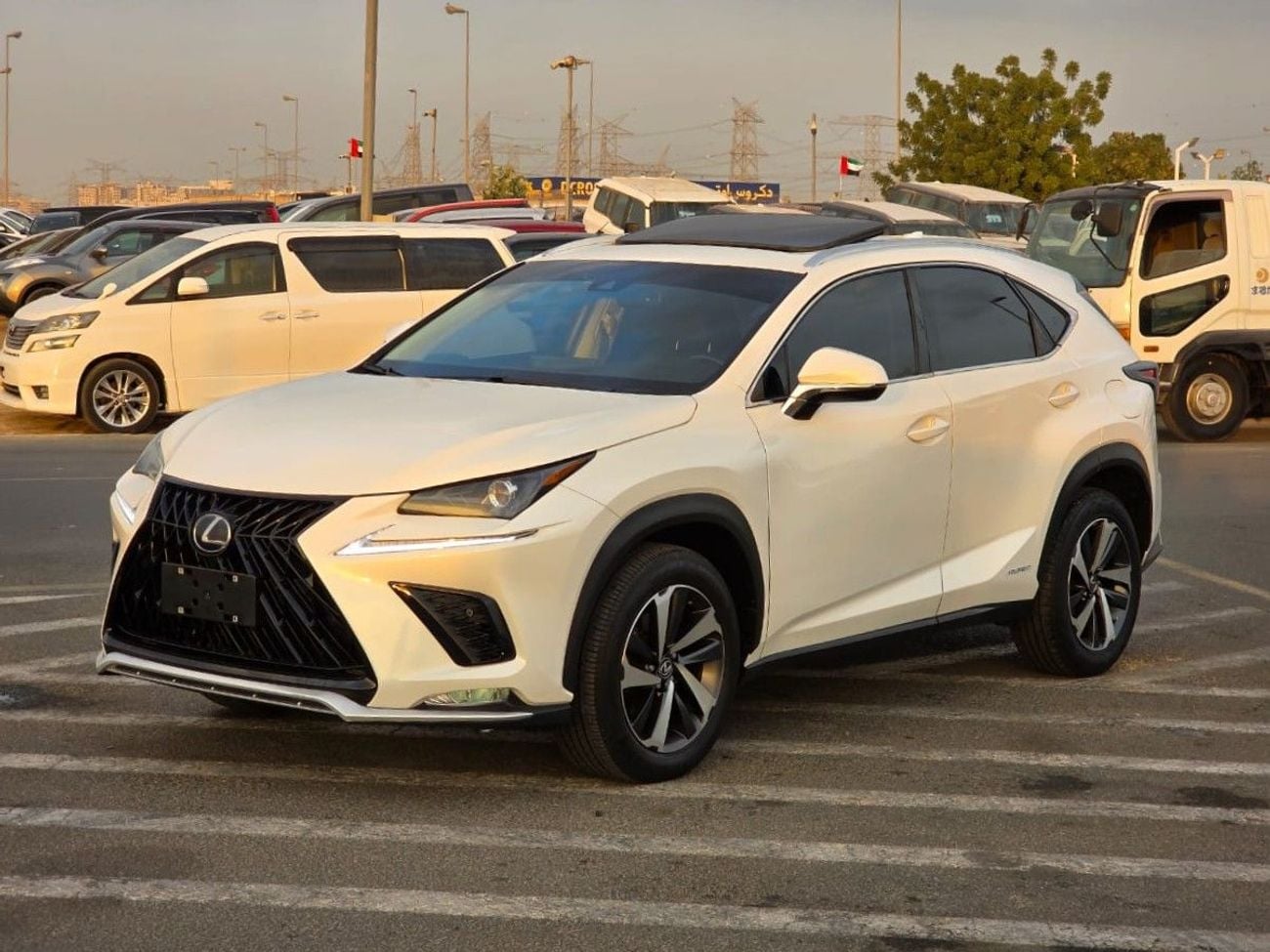 Lexus NX300 PLATINUM