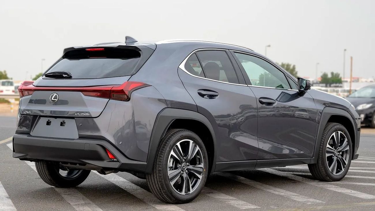Lexus UX250h UX 250H | 2-YEAR WARRANTY + SERVICE AVAILABLE | IN-HOUSE FINANCING | 0% DOWNPAYMENT (BANK)