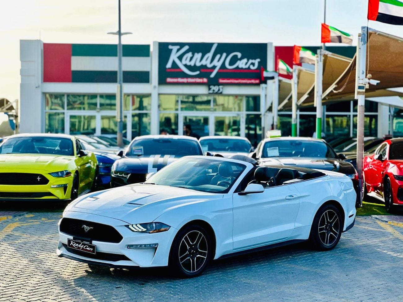 Ford Mustang STD Ecoboost | Monthly 1400/- | 0% DP | Fog Lights | Original Airbags | # 05457