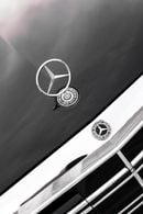 Mercedes Benz S450 AMG VIP Seats