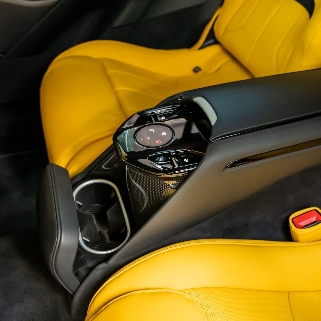 Ferrari Purosangue 2025 FERRARI PUROSANGUE (FULL CARBON BODY) DONE ONLY 4000KM