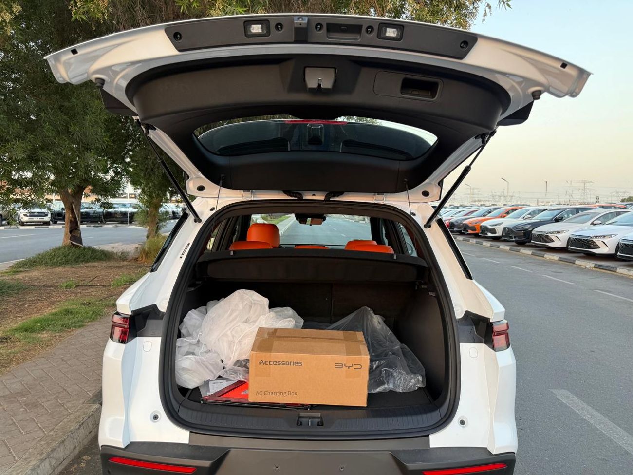 بي واي دي سونغ برو