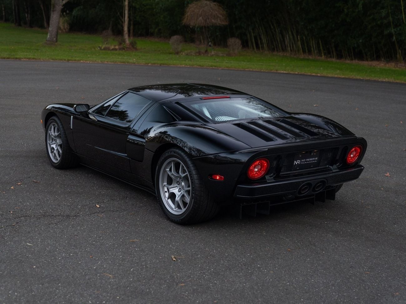 Ford GT Rare 1 of 14 Stripe Delete